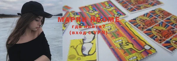 стафф Аркадак
