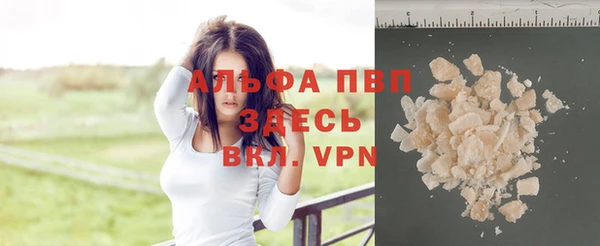 стафф Аркадак