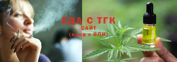 гашик Туринск