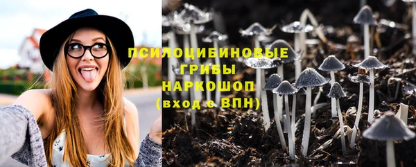 прущая мука Арсеньев
